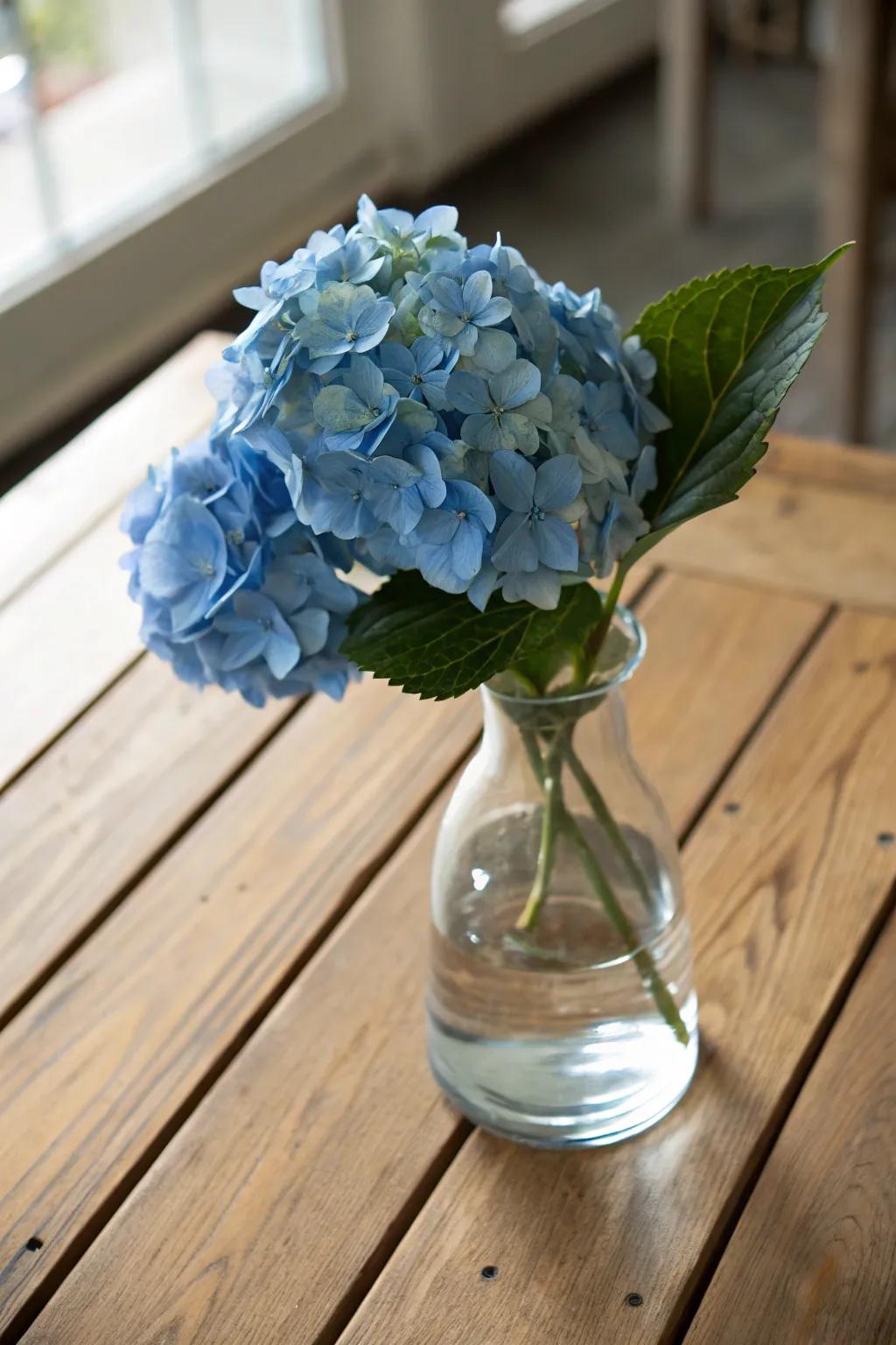 A single blue hydrangea in a glass vase creates a simple yet elegant look.