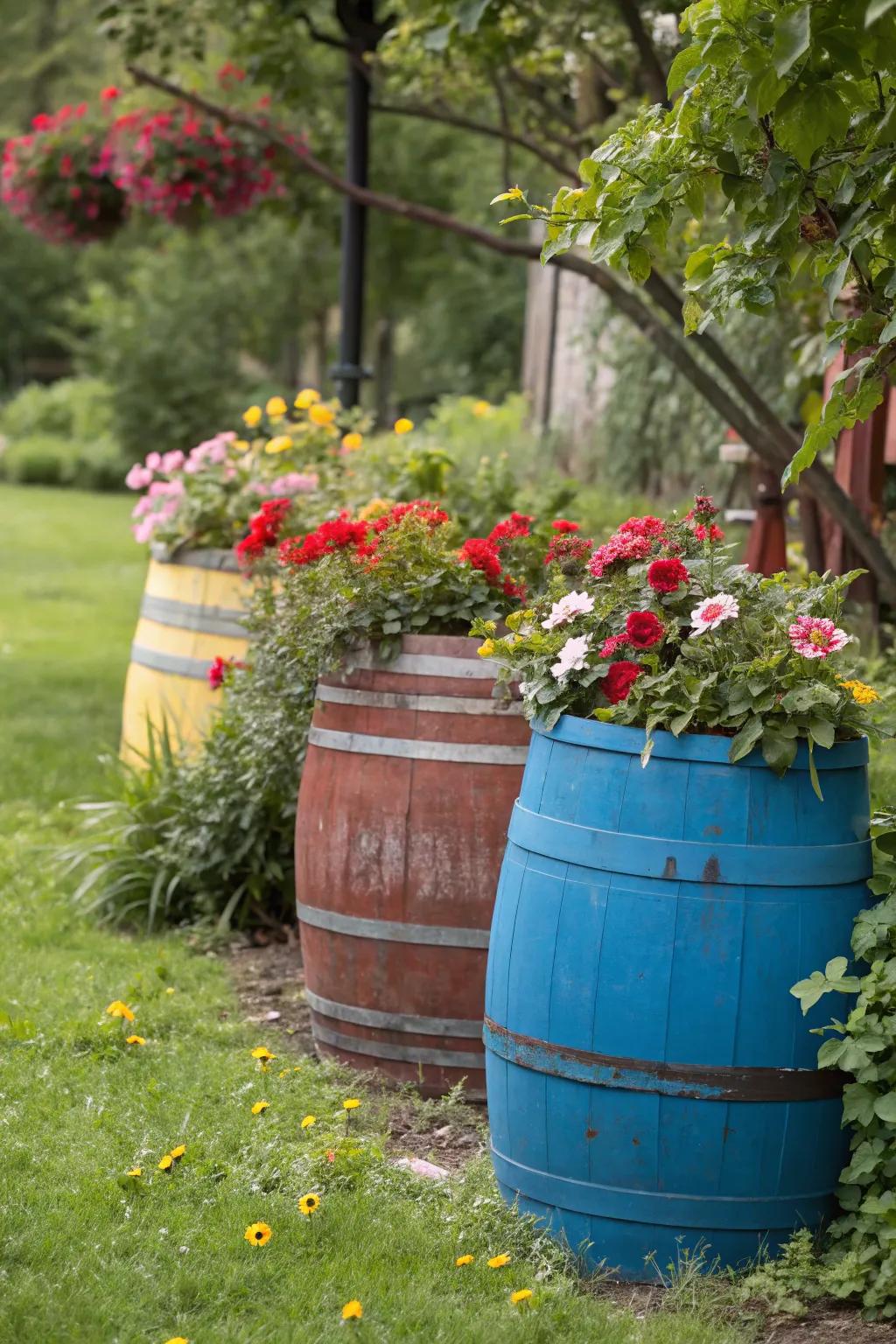 Painted barrels acting as lively garden containers