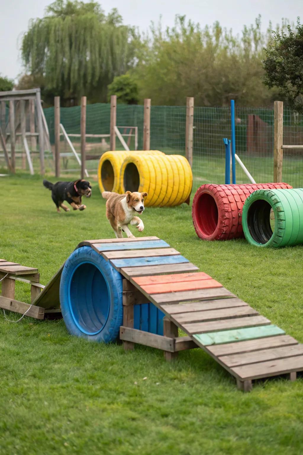 A captivating DIY obstacle course crafted from affordable materials.