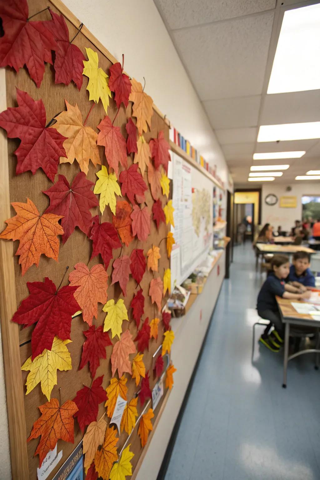 A bulletin board bursting with the vibrant colors of autumn foliage.