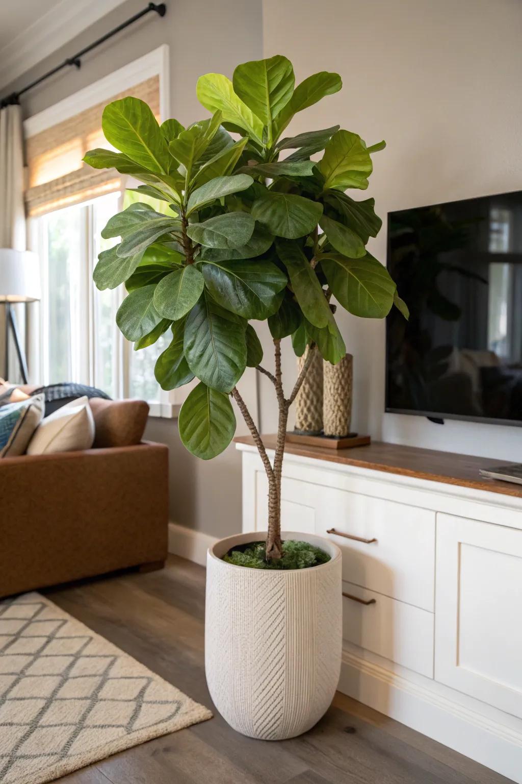 Plants inject vibrancy into any nook, introducing both color and depth.