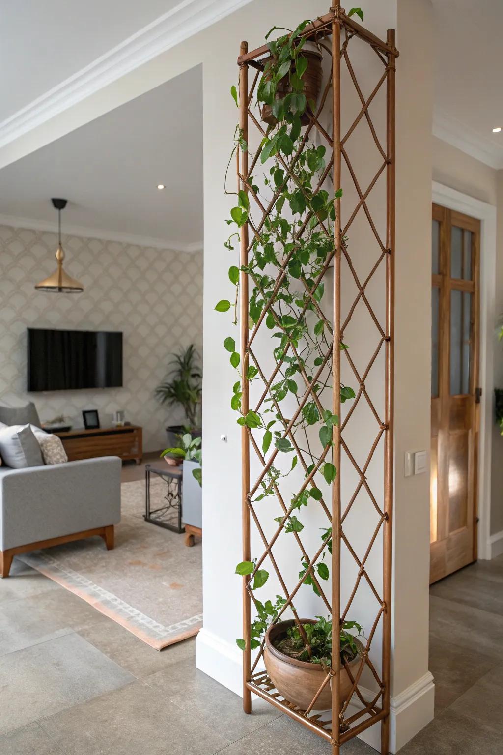 A sophisticated living area showcasing a Waxplant climbing a bronze trellis, injecting an air of sophistication.