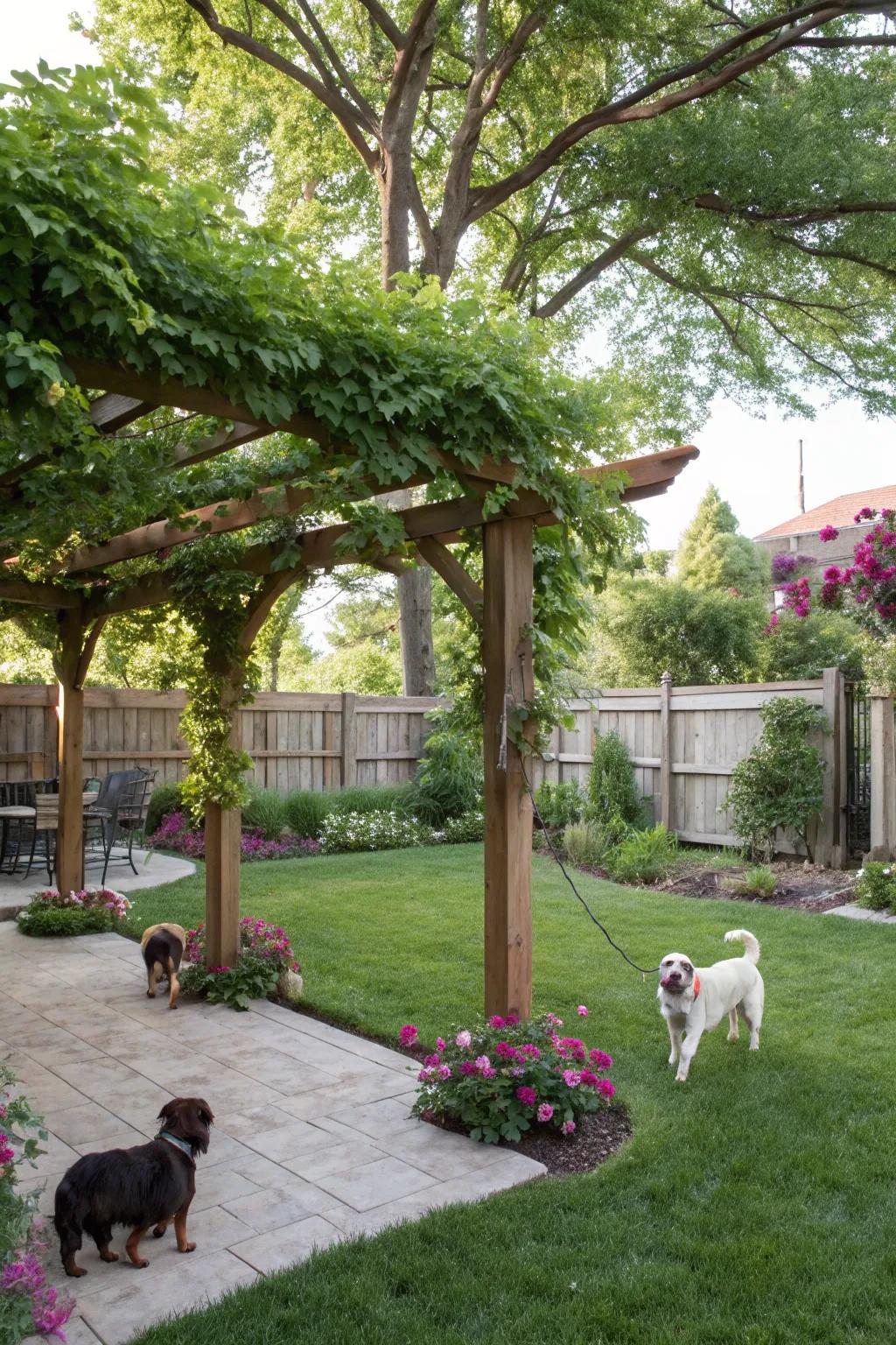 A serene shaded spot for pets and their owners, enhanced by a gazebo and lush foliage.