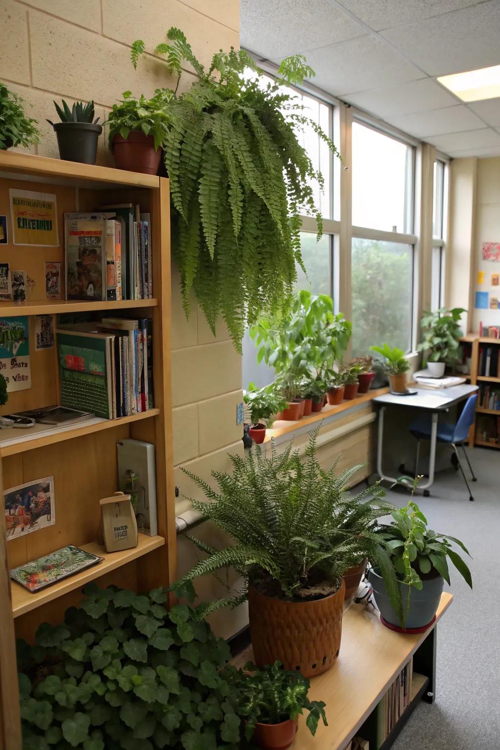 Lush foliage fosters a vibrant and inviting classroom ambiance.
