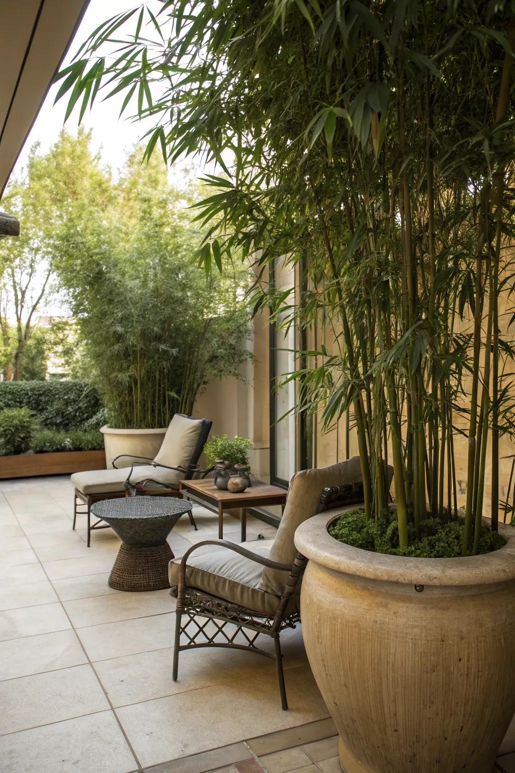 Create a cozy seating area with bamboo plants for natural shade.