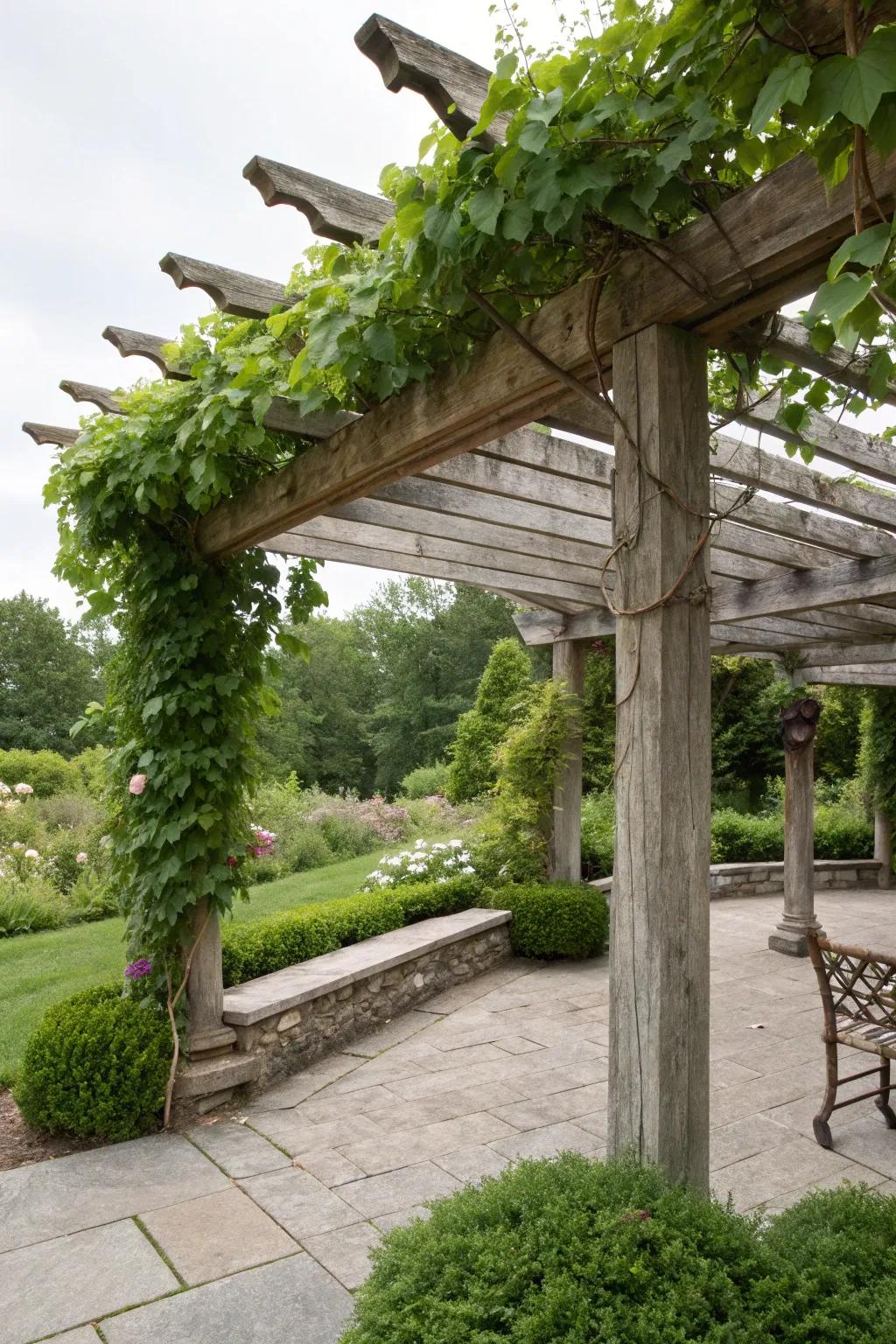 A vine-covered pergola creates a naturally shaded, tranquil retreat.