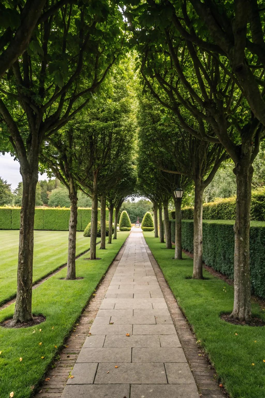 Design a majestic entrance featuring balanced tree-lined walkways.