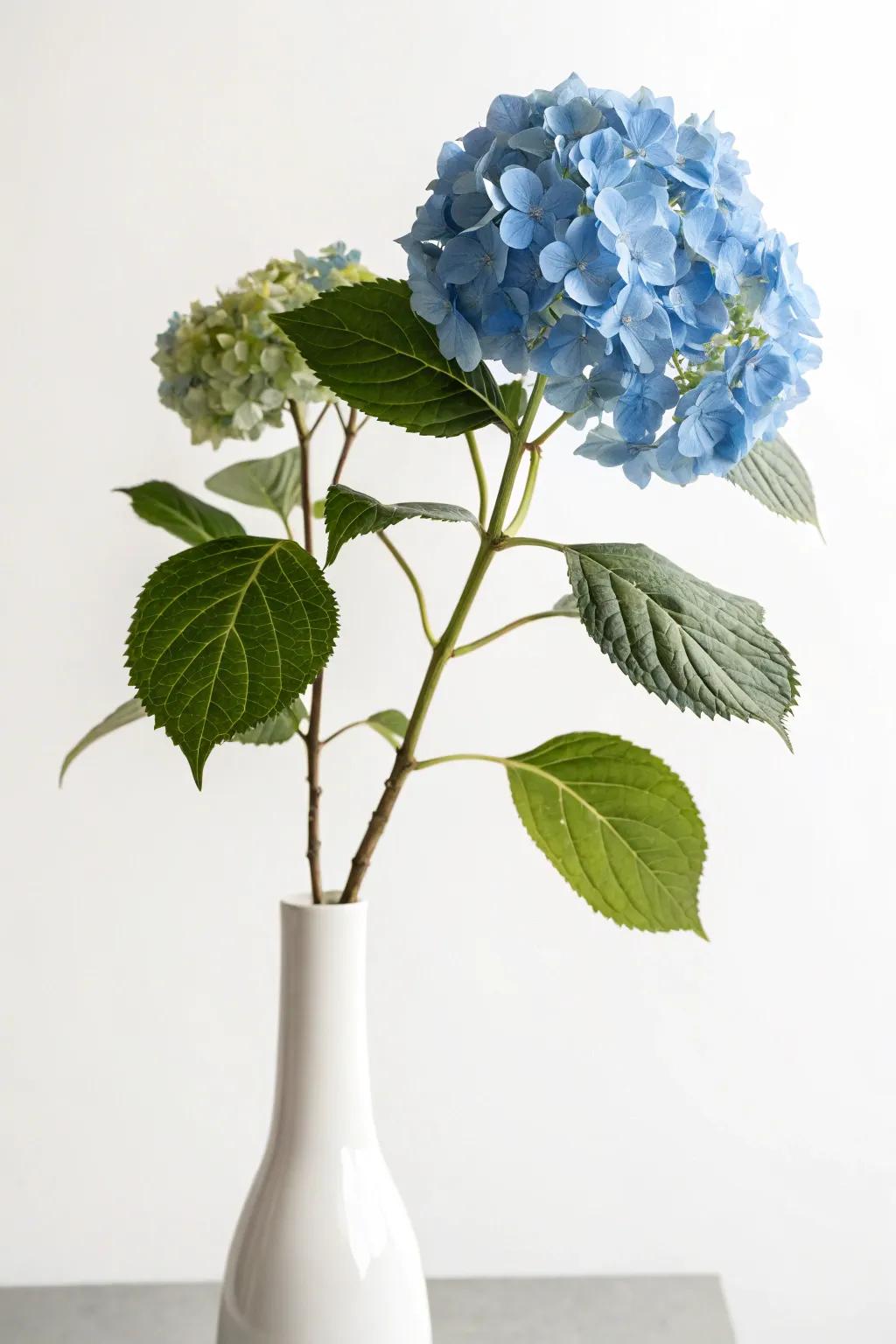 A minimalist approach with a single blue hydrangea stem.