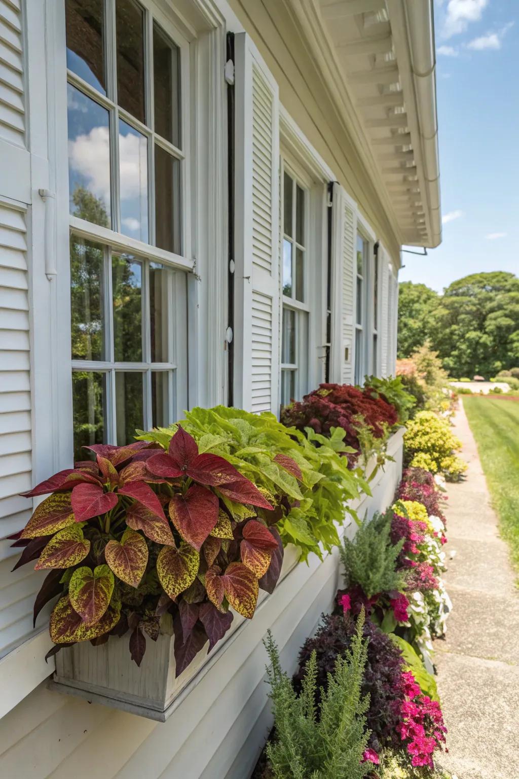 Unique containers personalize your coleus window box with charm.