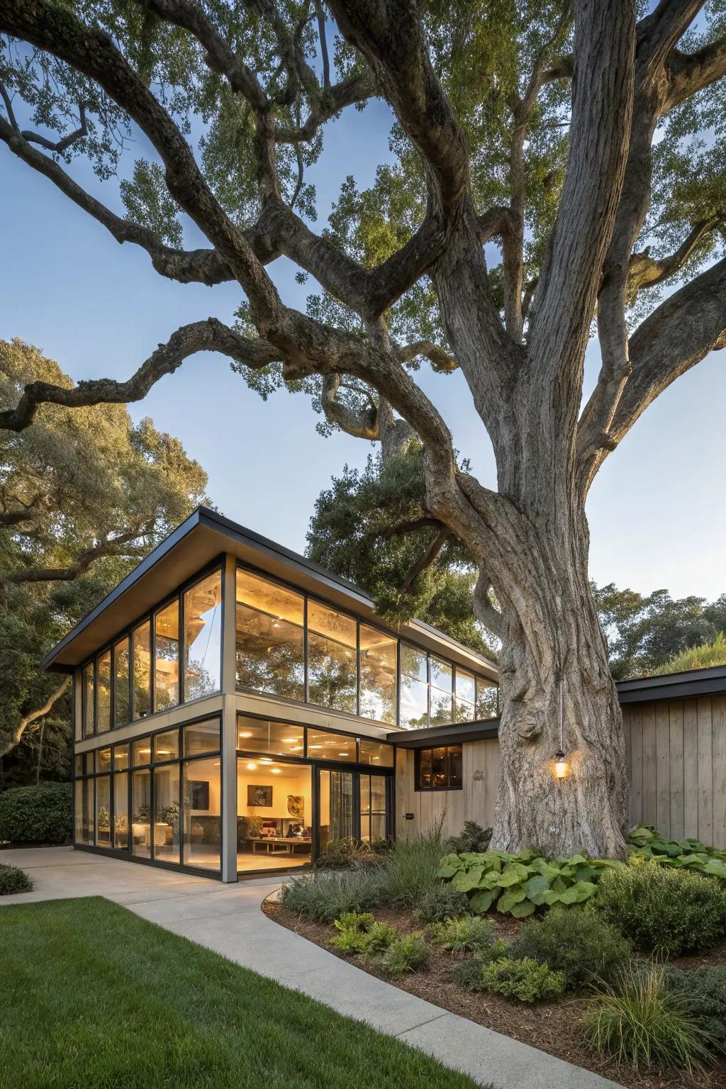 A home embracing natural features as essential parts of its design.