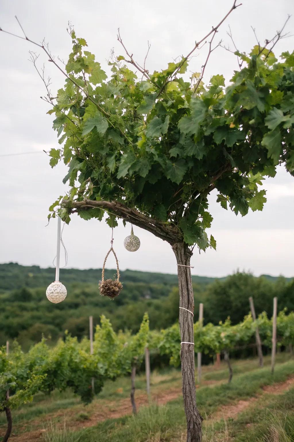 An eco-friendly decorated grapevine tree, showcasing natural beauty.