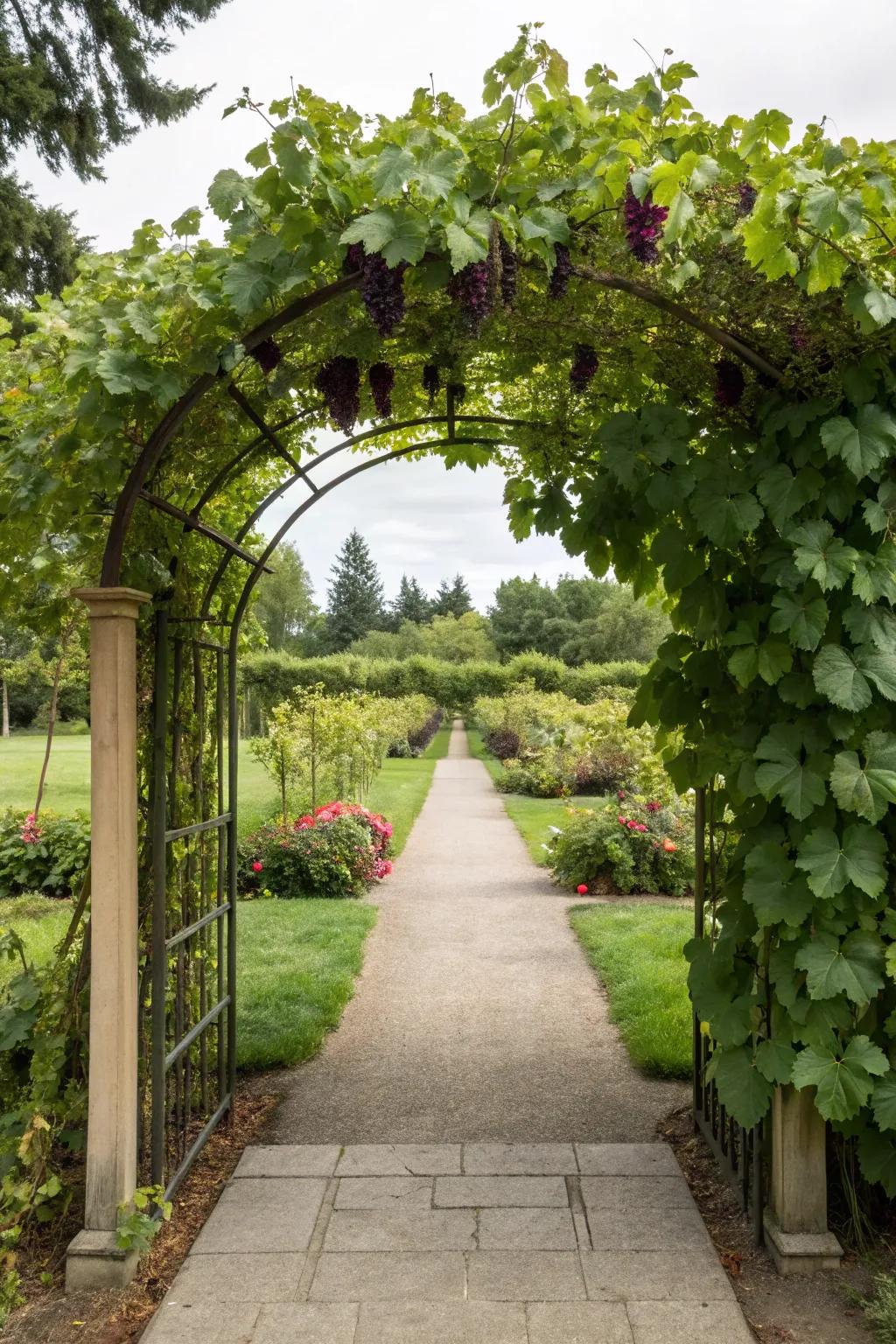 Welcome guests with a stunning vine arch.