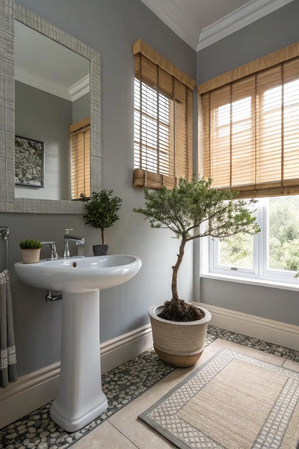 Elegant Bathroom Sink Designs With Pedestals Light And Layer