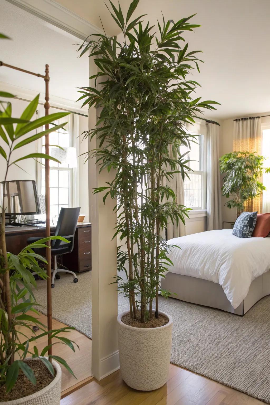 Tall flora elegantly separates your space.