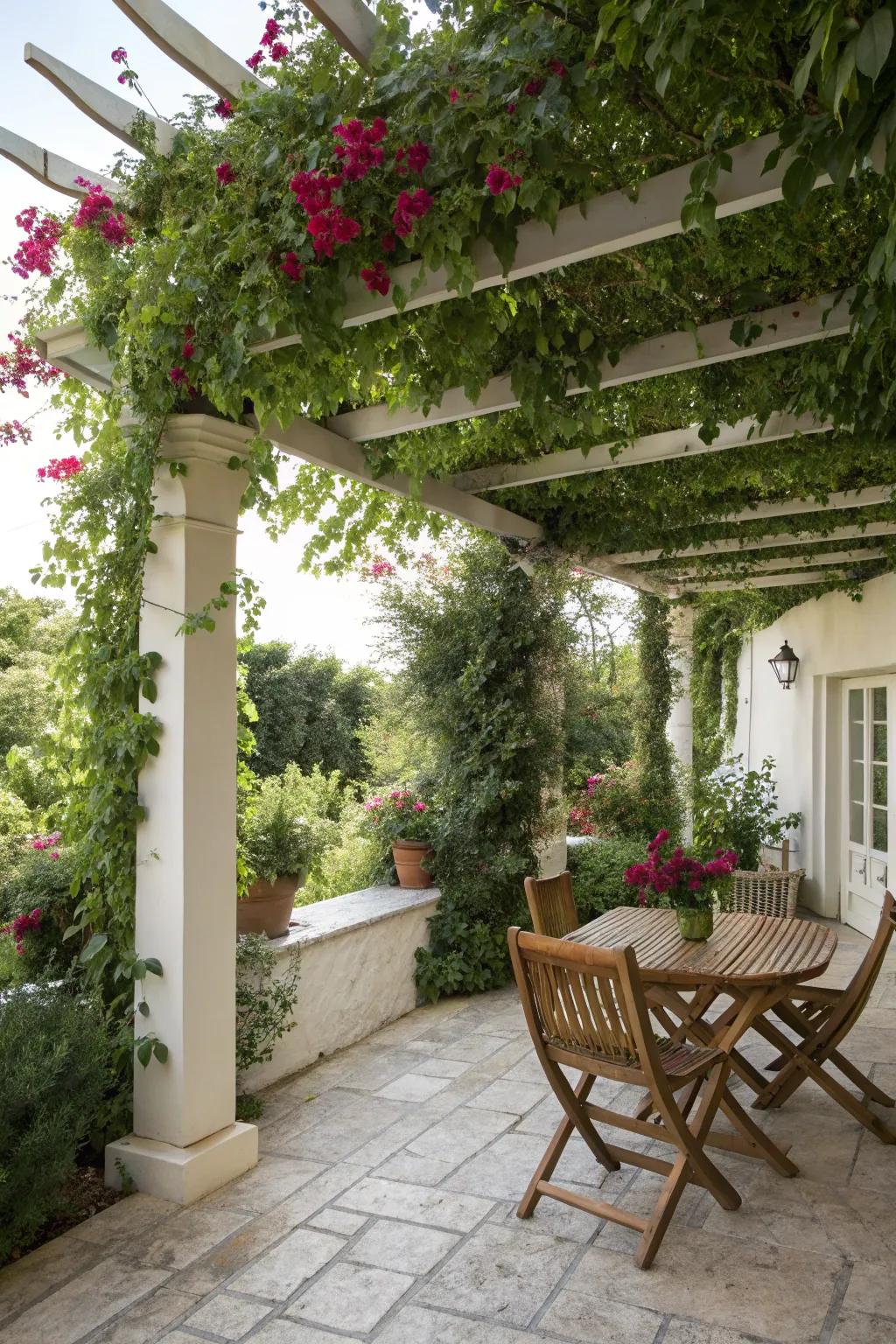 A garden wall adds privacy and a touch of nature.