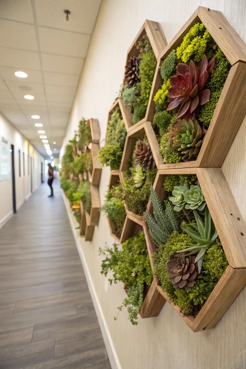 Design an indoor garden with honeycomb wall boxes.
