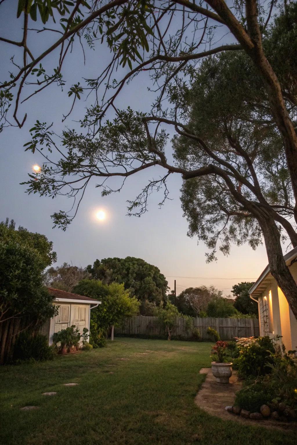 Simulated moonlight brings an ethereal glow to outdoor settings.