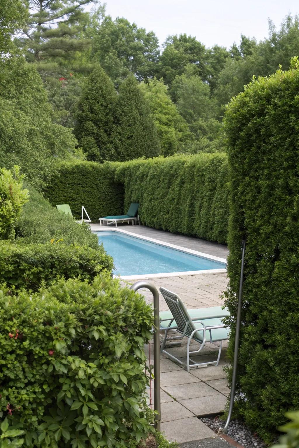 Hedges and bushes provide year-round solitude for pool equipment.