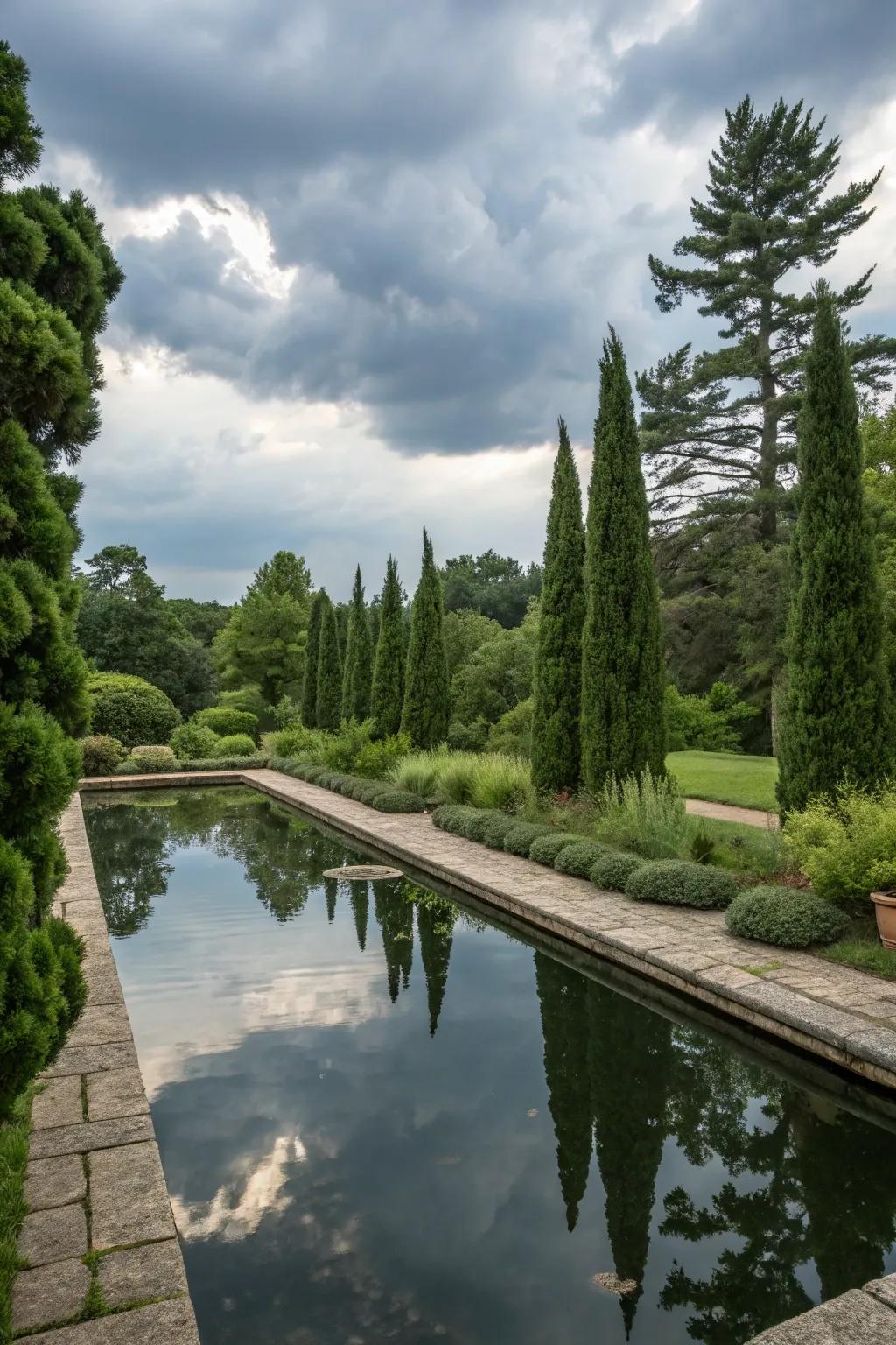 Amplify water features using Evergreen Sentinel trees for a serene garden.