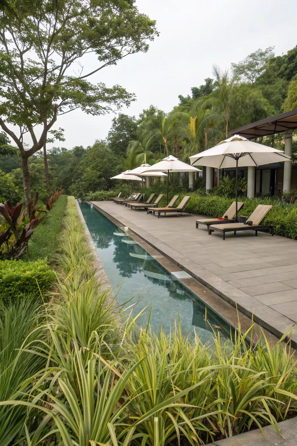 A poolside paradise framed by the vibrant beauty of Whispering Grass.