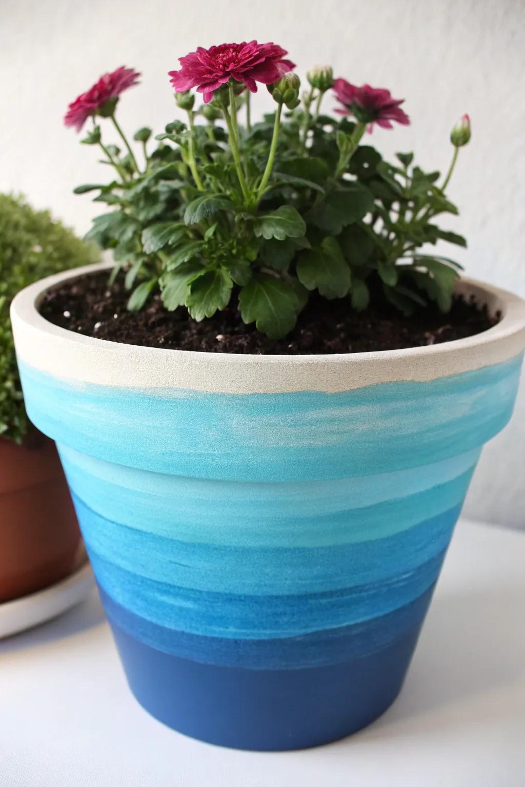 A flower pot displaying an impressive tiered pigment effect.