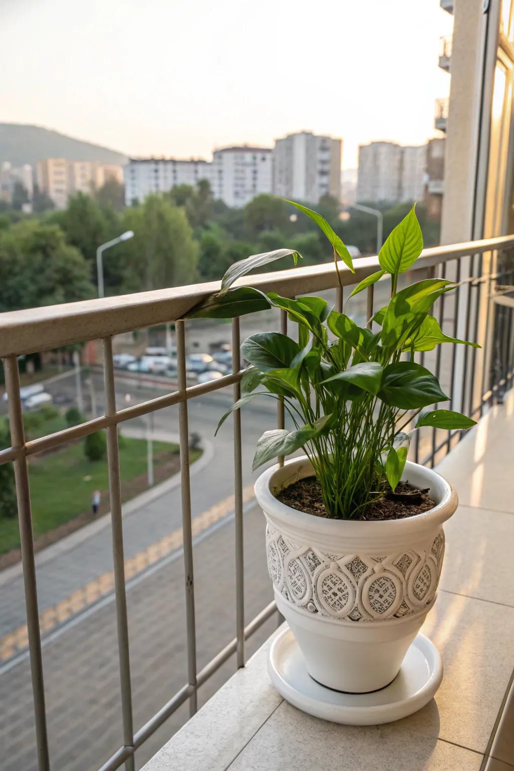 Bring the outdoors in with a porcelain flora pot.