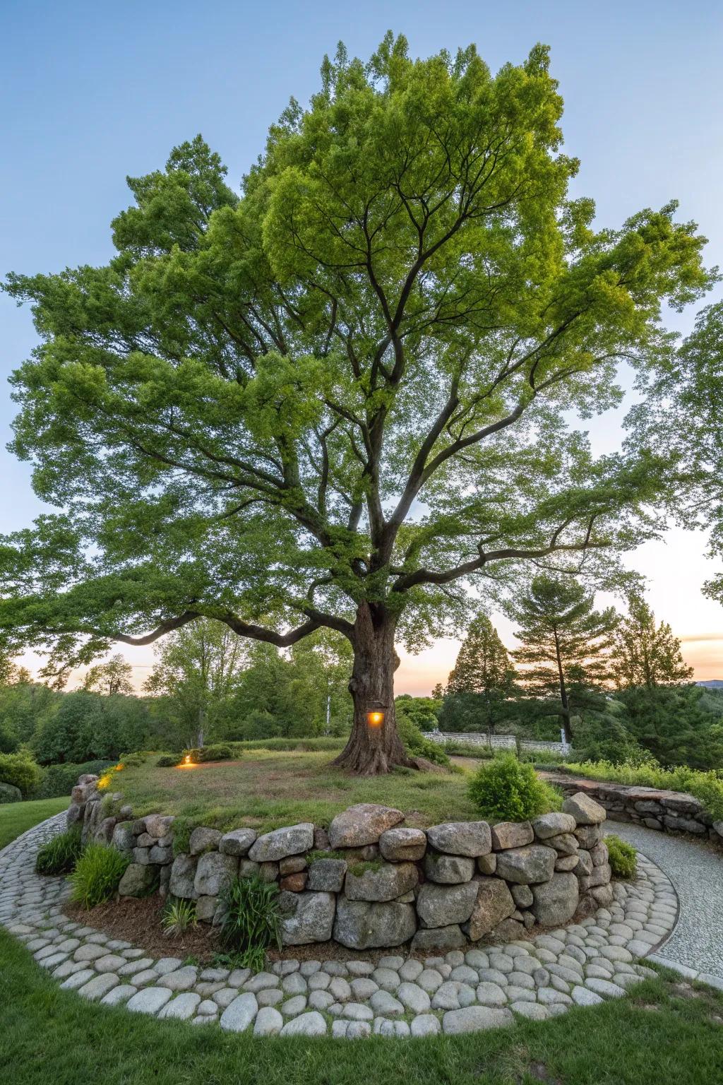 Stone walls can spotlight special trees, intensifying garden focal segments.