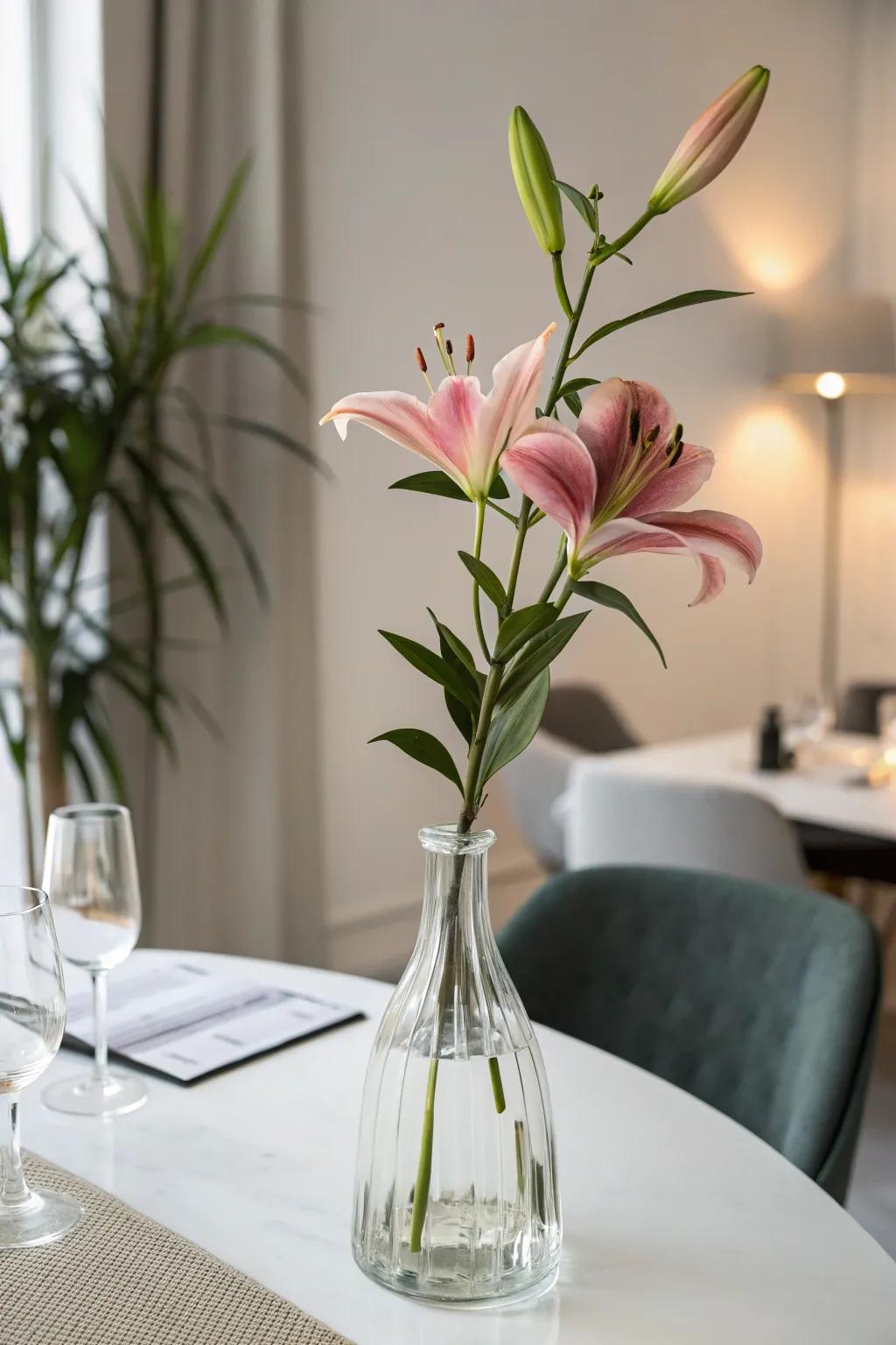 A classy single flower inside a clear vase exudes sophistication.