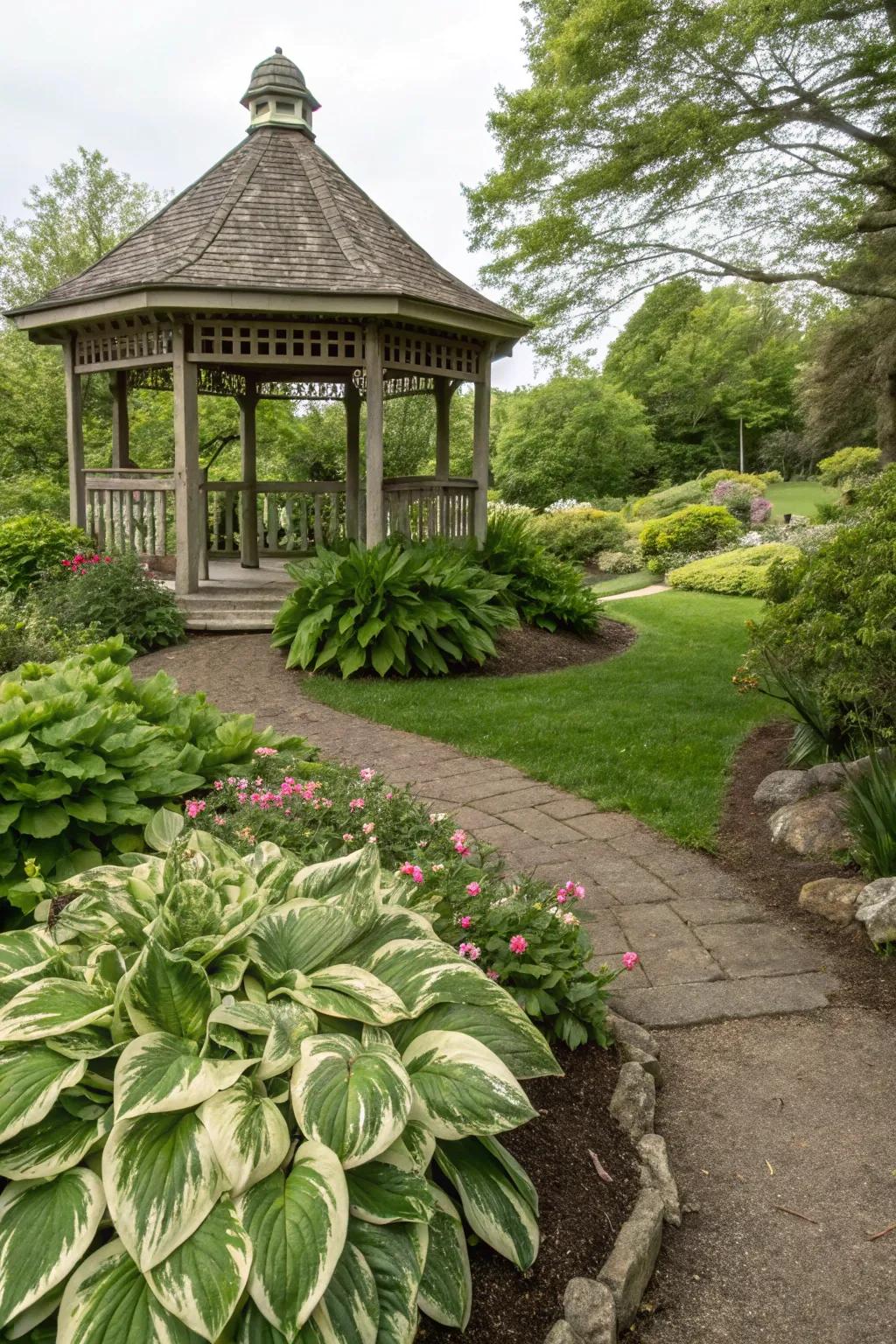 Hostas stylishly outline garden features.