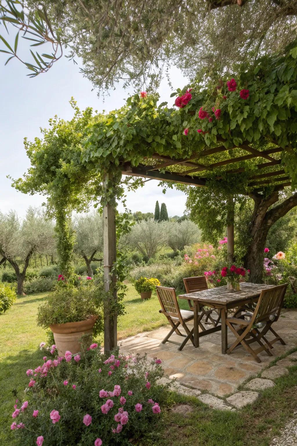 A shaded escape provides a cool retreat in this Mediterranean-influenced outdoor area.