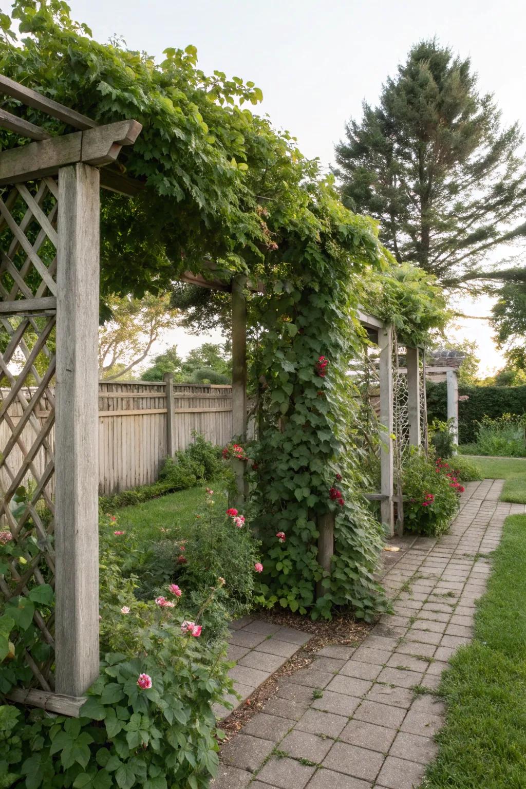 Trellises with climbing plants create a private garden nook.