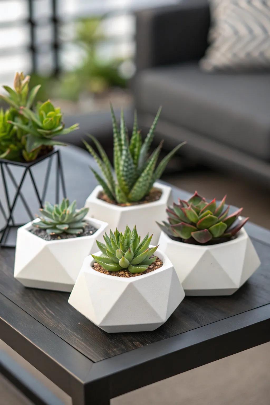 Add modern style with geometric plant containers.