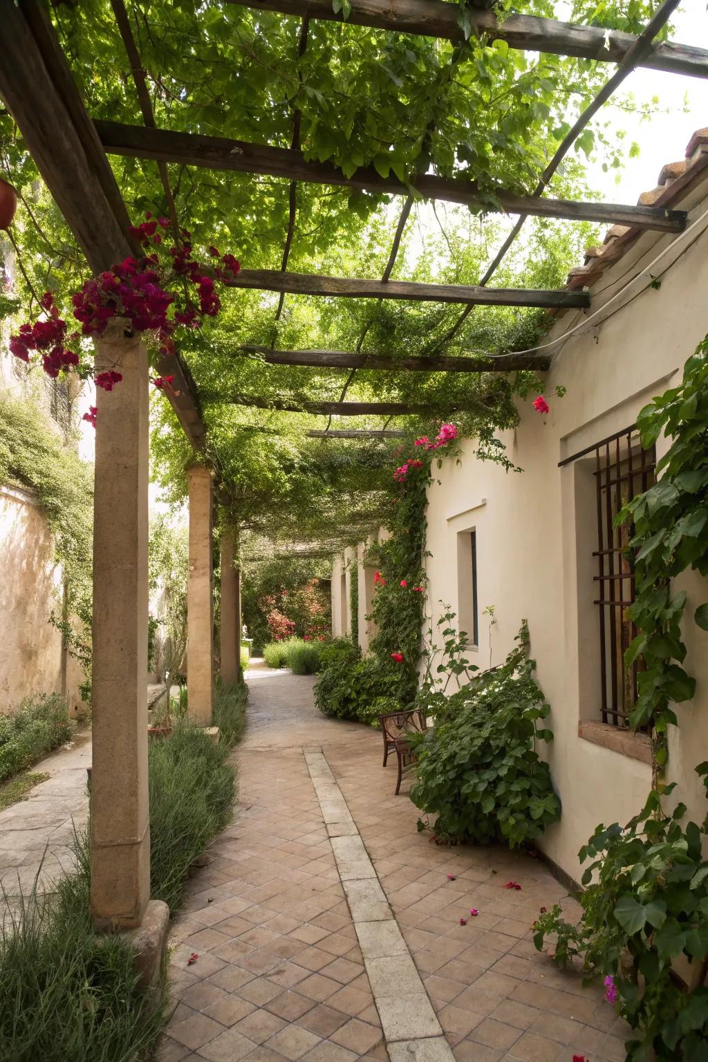 Climbing plants add vertical greenery and texture.