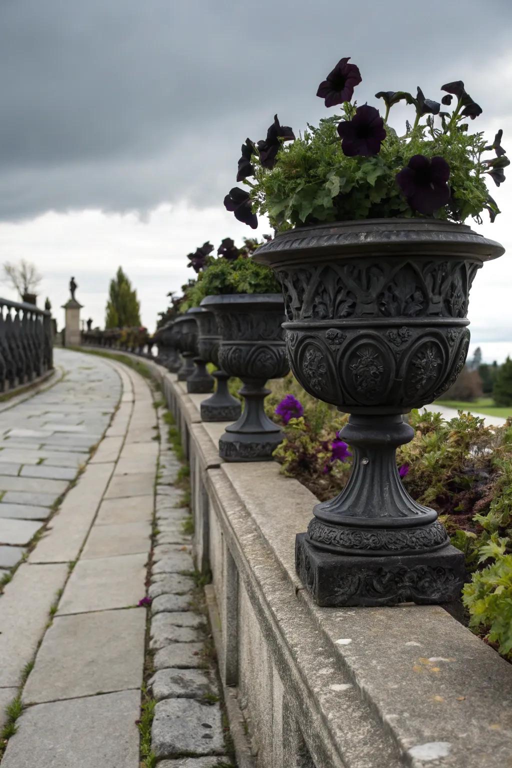 Neo-gothic vases filled with ebony petunias