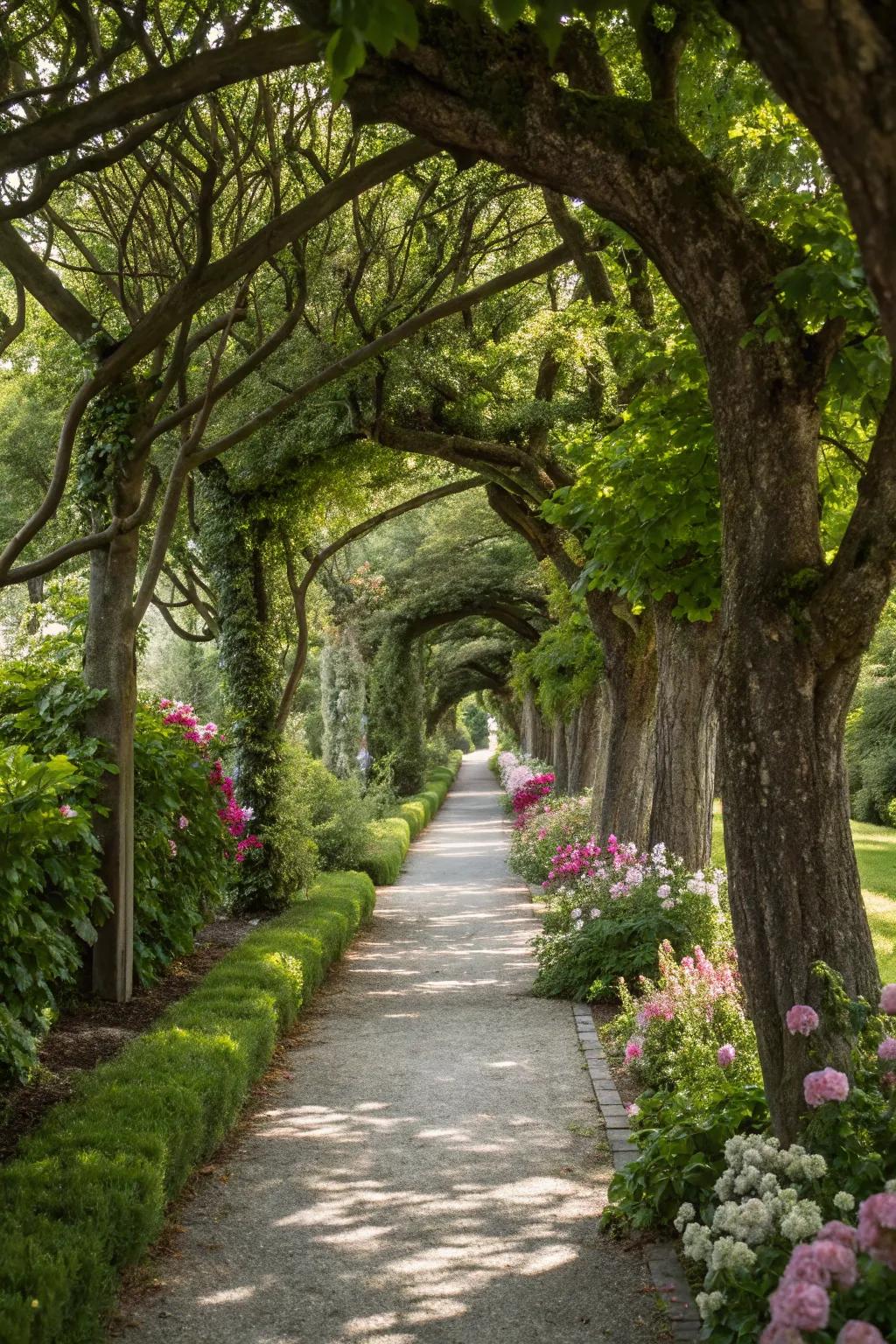 Guide guests with a tree-framed garden walkway.