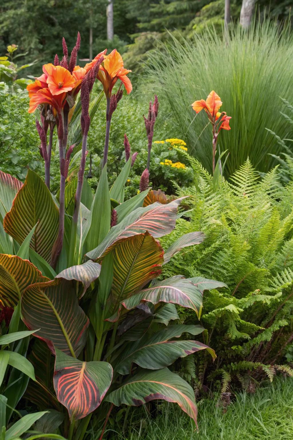 Scarlet blossoms with grasses and ferns demonstrating bold foliage.