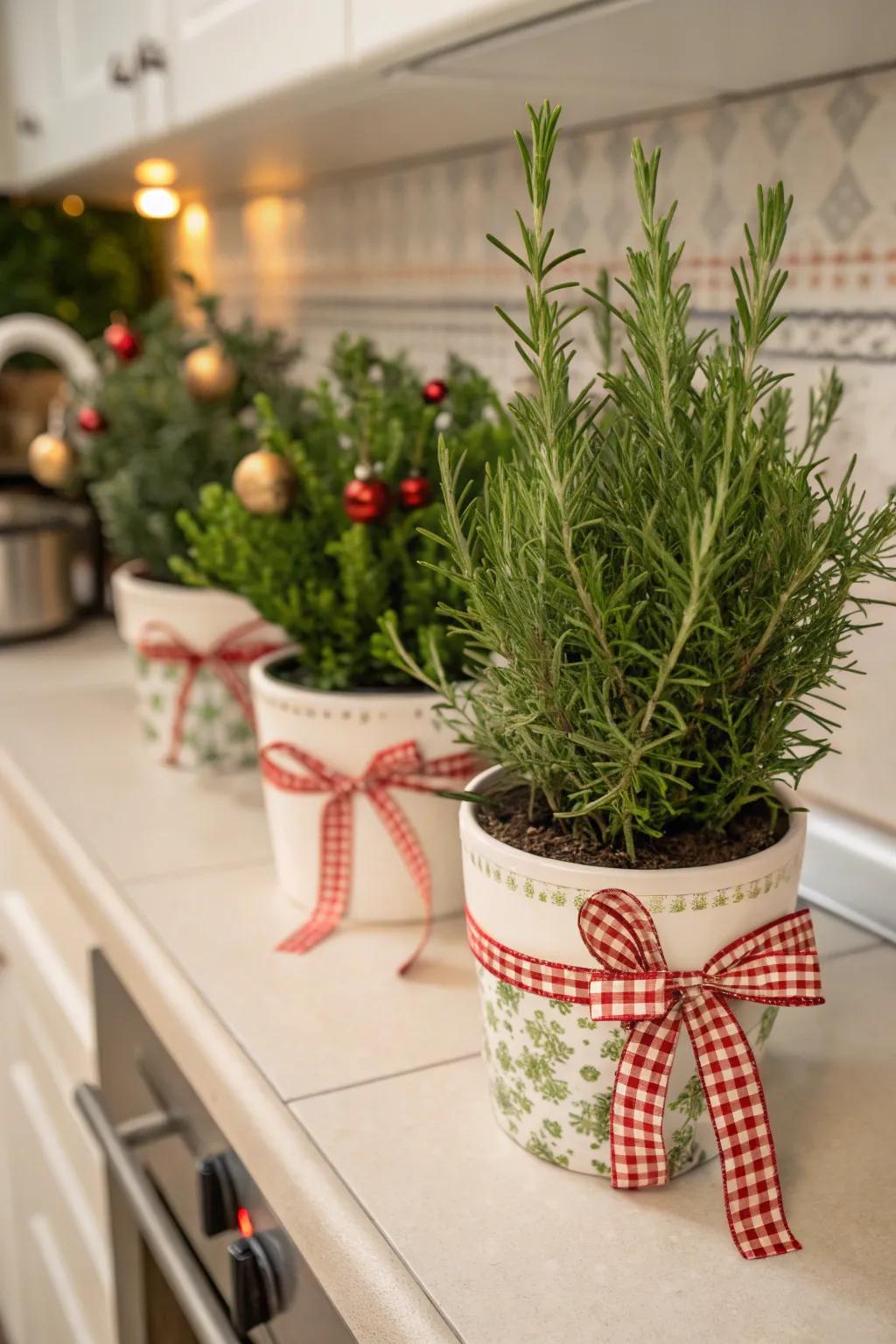 Holiday herbs add fragrance and beauty to the kitchen.