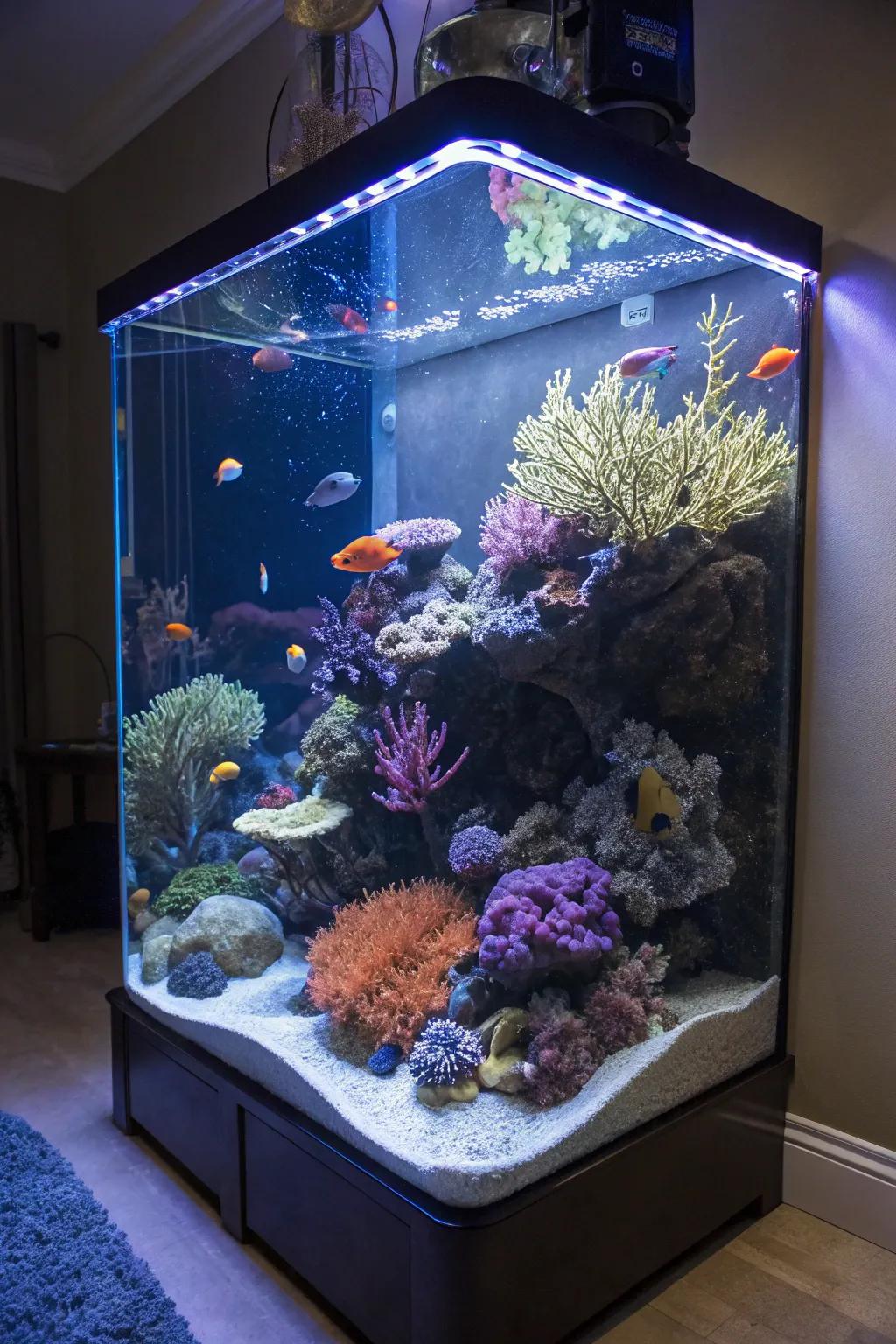 Creative arrangements in your tank make it a living masterpiece.