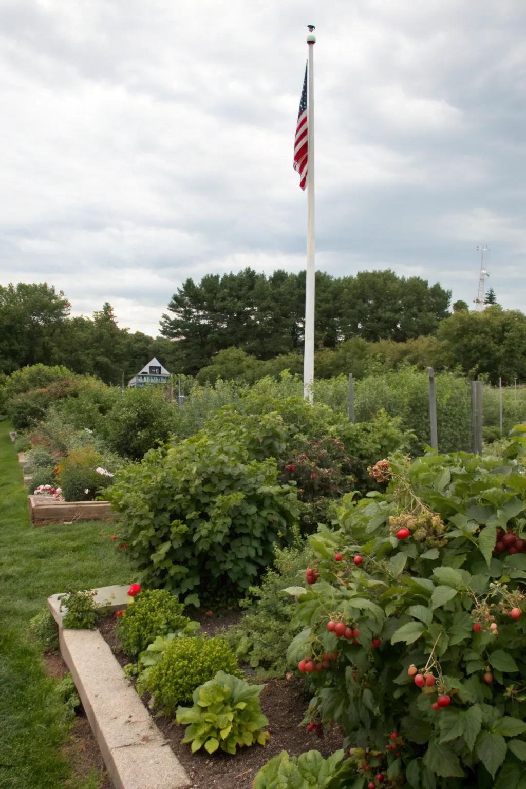 Edible plants offer beauty and bounty around a freedom pole.