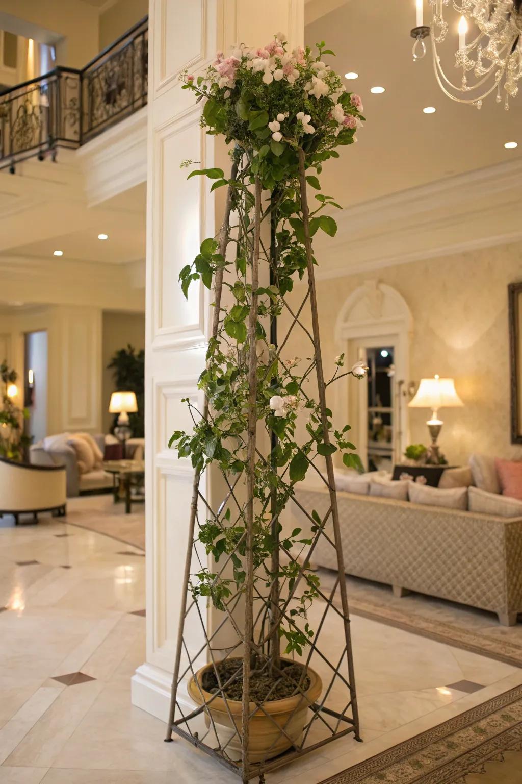 A luxurious abode featuring a Waxplant on a freestanding spire trellis.