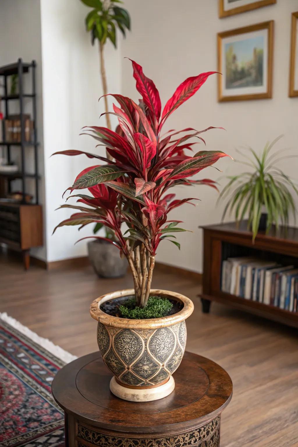 Incorporate vivid, bold colors with a crimson evergreen.