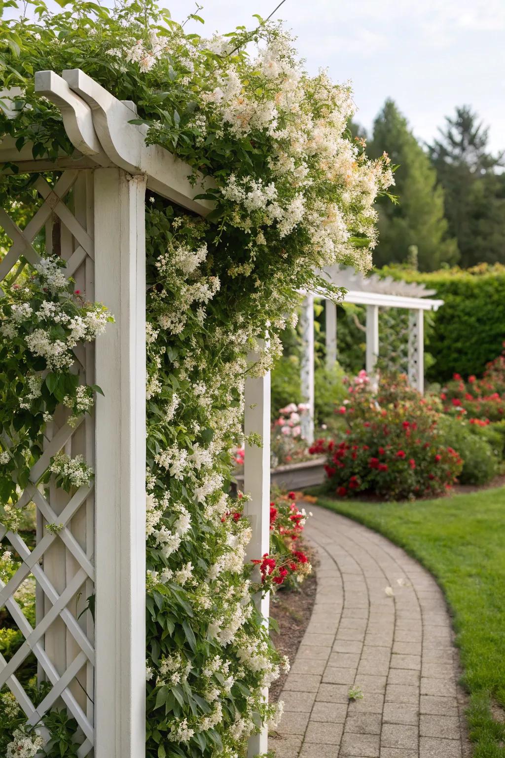 Divide and conquer your garden with a blossom frame.