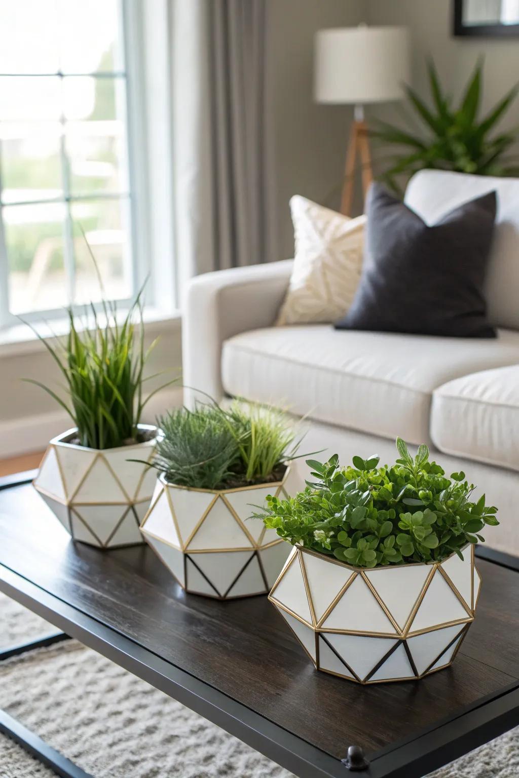Angled planters add a modern edge to plant displays.