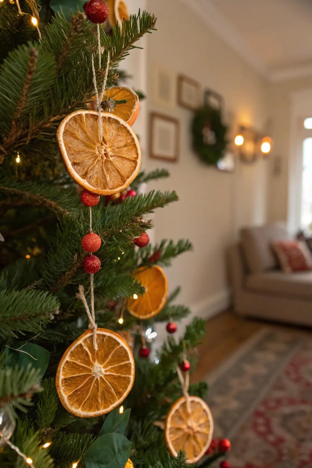 Dried orange pieces offer a vibrant and fragrant holiday touch.