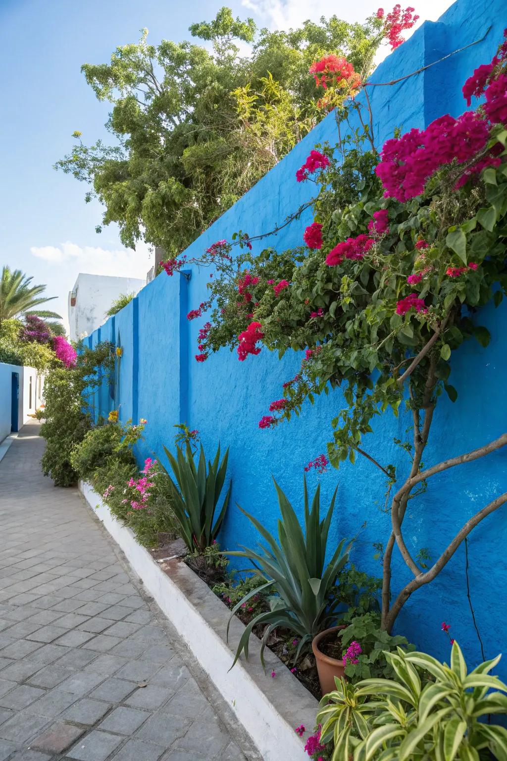 Accent shades introduce a striking visual aspect to outdoor walls.