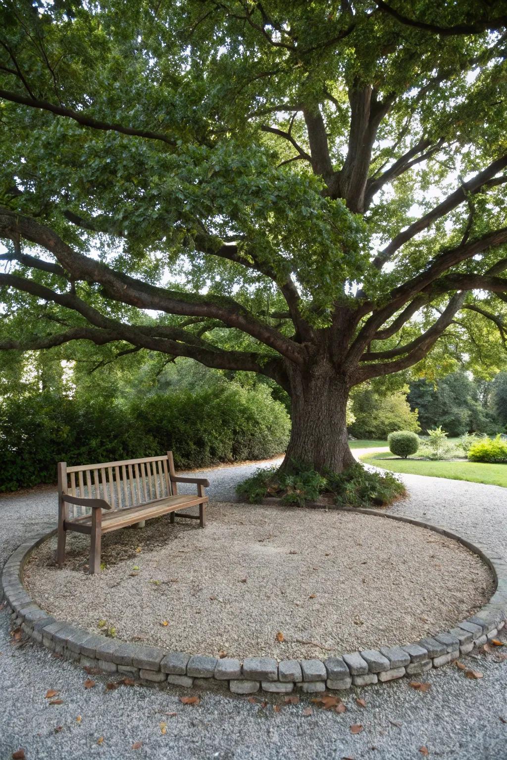 A decorative circle featuring a majestic tree.
