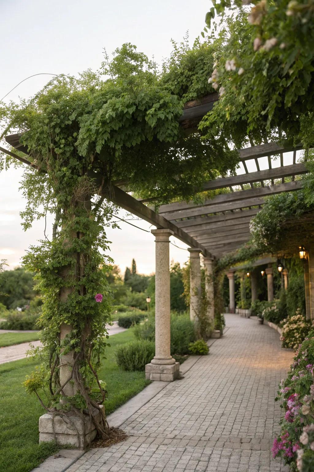 A pergola provides shade and adds charm to the garden.