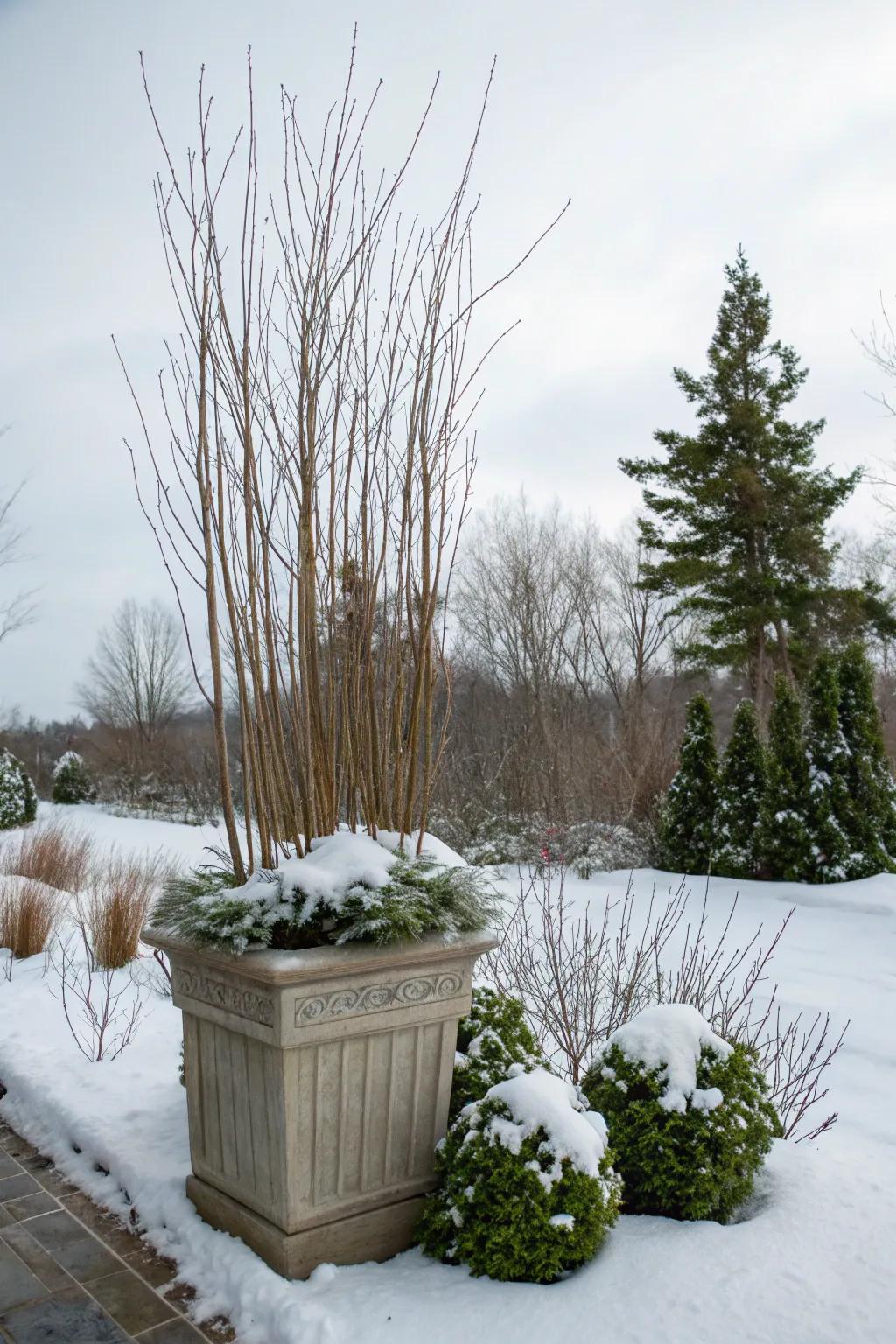 Tall twigs add drama and structure to your arrangements.