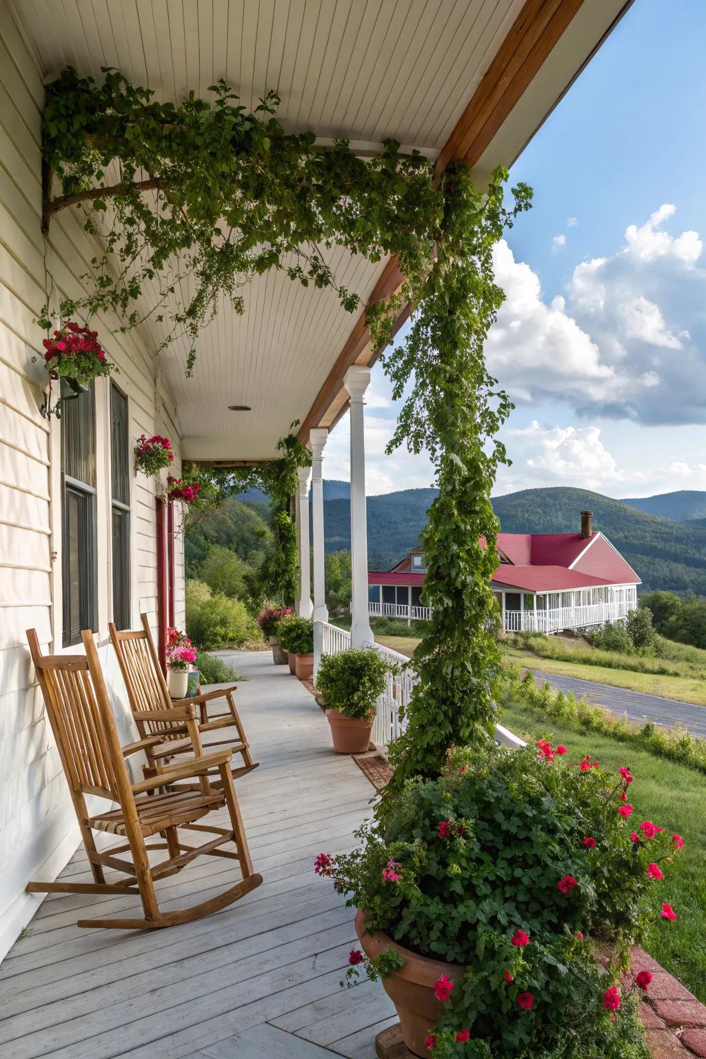 Trellises with climbing plants offer both privacy and greenery.