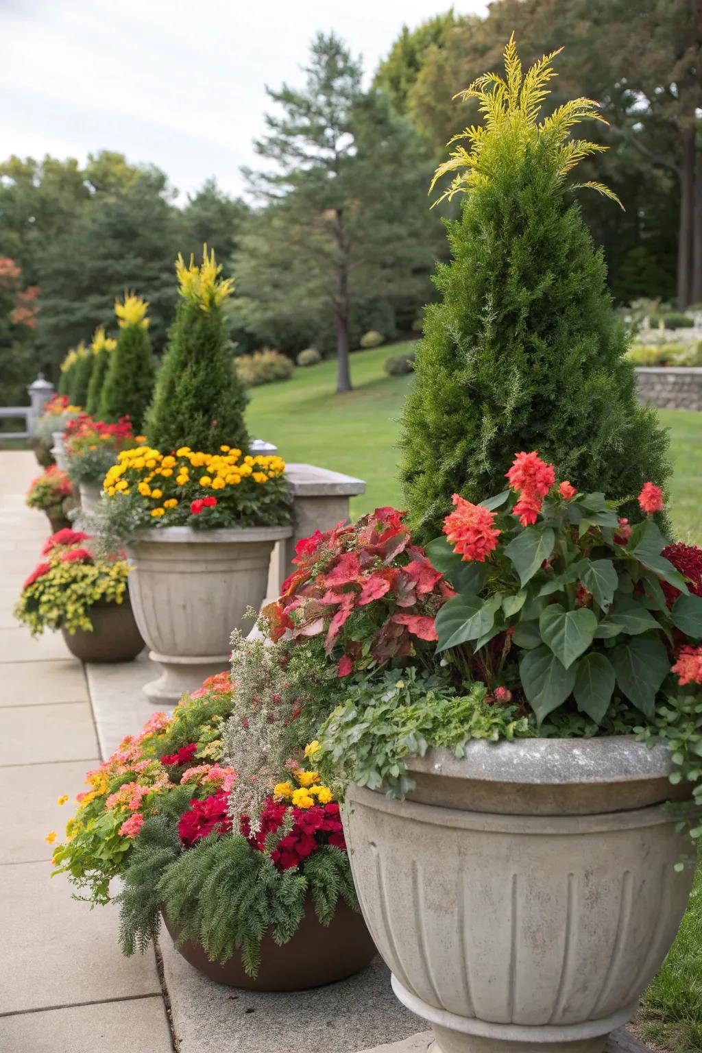 Maintain your gardening area vibrant year-round.